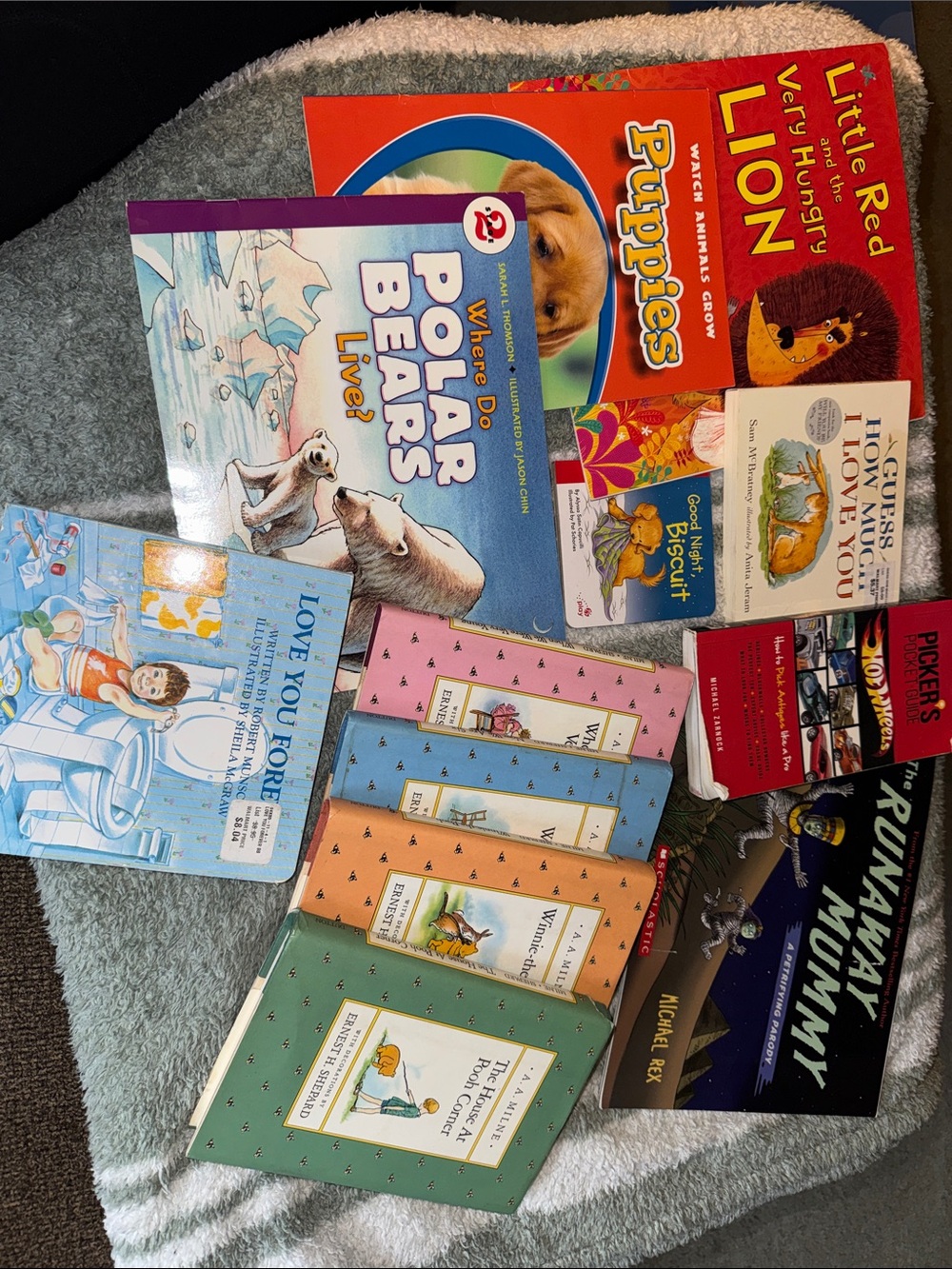 Assorted Children's Picture Books Bundle.